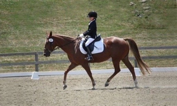 Private Horseback-Riding Lesson for One, Two, or Three at Reddemeade Equestrian Center (Up to 56% Off)