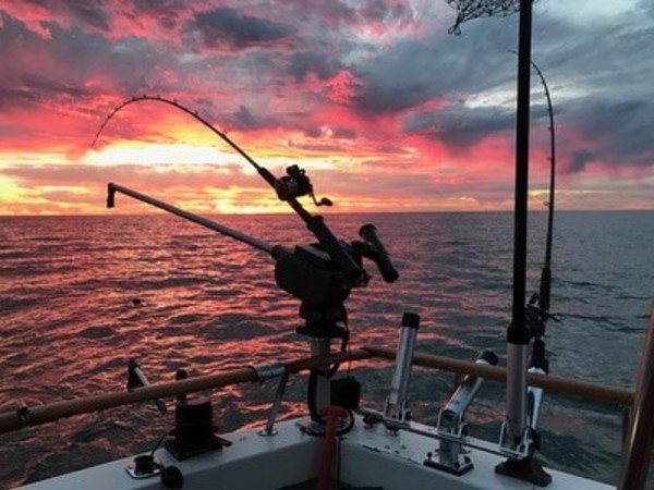 50% Off On A Boat / Cruise