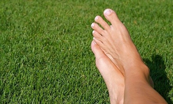 $40 for Podiatry Exam, X-ray and Treatments with Celine R Soltani DPM PA($125 Value)