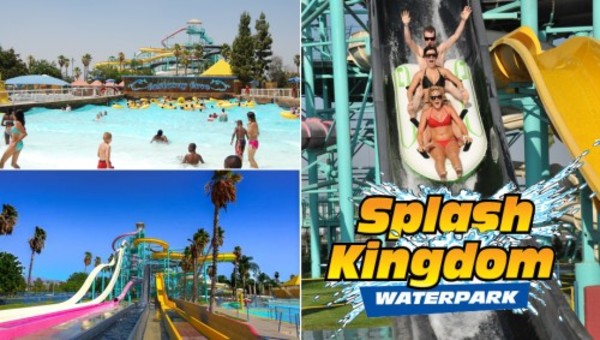 Ride the Waterslides at Splash Kingdom