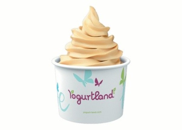 $10 For $20 Worth Of Frozen Yogurt