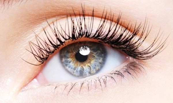 $40 for $75 Worth of Services — Extension Express