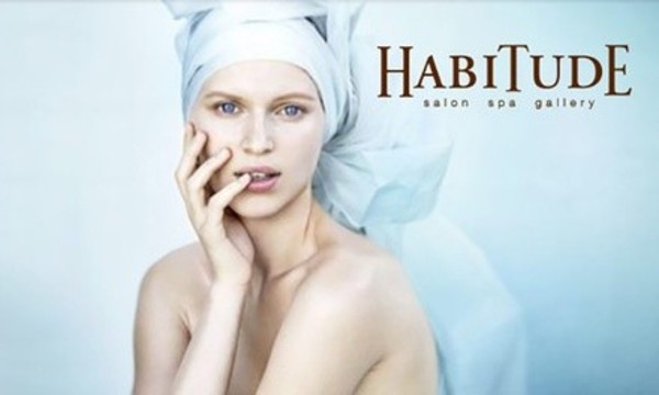 Massage, Facial, or Both at Habitude Day Spa and Salon (Up to 31% Off)