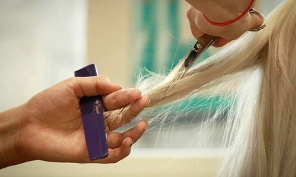 Women's Haircut, Style, Partial Highlight or Root Retouch at Salon Dragonfly (Up to 53% Off)