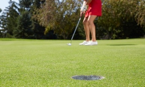 Champion Course at Seven Springs Golf and Country Club (Up to 63% Off). Two Options Available.