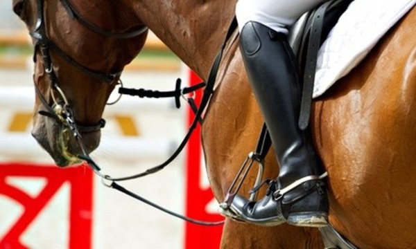 Horseback-Riding Lessons or Camp for One at Avalon Stables (Up to 61% Off). Four Options Available