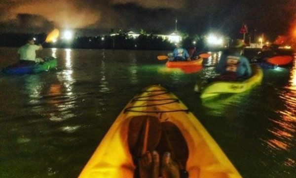 Two-Hour Guided Kayak Mangrove Maze or Get Lit Up Night Tour for Two from Kayak Kings (Up to 46% Off)