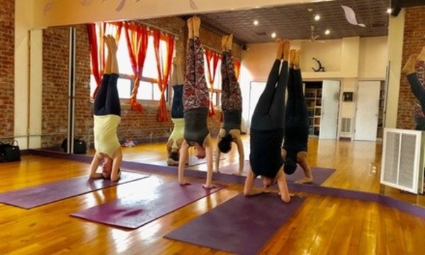Deal for Yoga Synergy