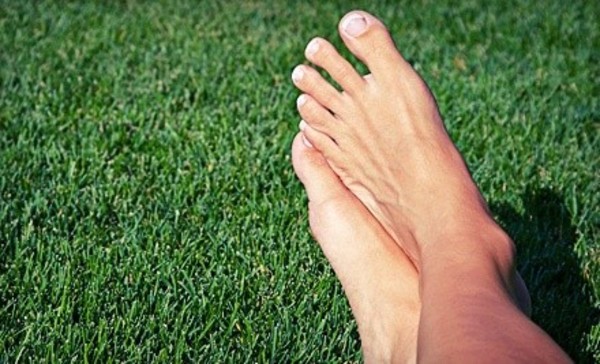 $136 for a Foot and Structural Health Assessment and a Cold-Laser Treatment at Insights to Health ($296 Value)