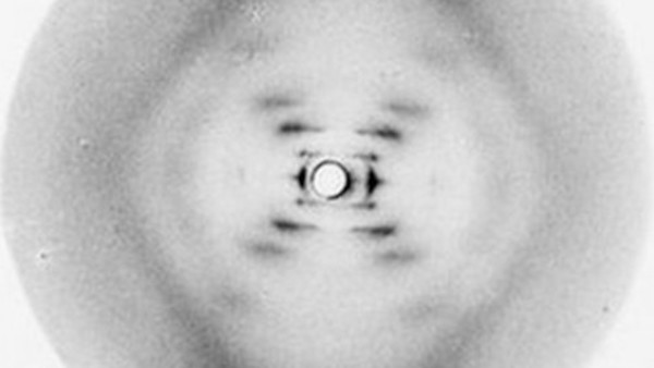 "Photograph 51" Asks: Who Really Discovered DNA?