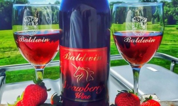 Wine Festival Tickets at Baldwin Vineyards (Up to 31% Off). Two Options Available.