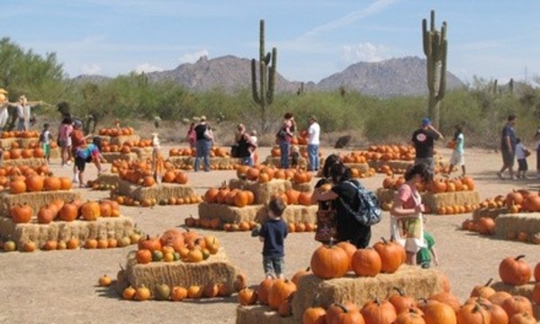 Fall Festival Admission for Two, Three, or Four at MacDonald's Ranch (Up to 25% Off)