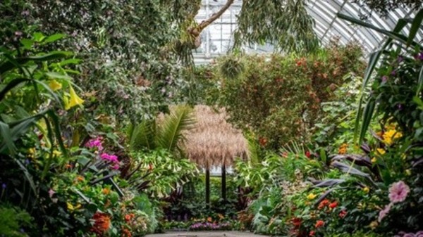 "Georgia O'Keeffe: Visions of Hawaii"