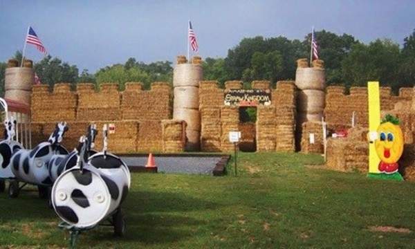Corn Maze and Fun Farm Admission for Two or Four at Butcher's Family Fun Farm (Up to 43% Off)