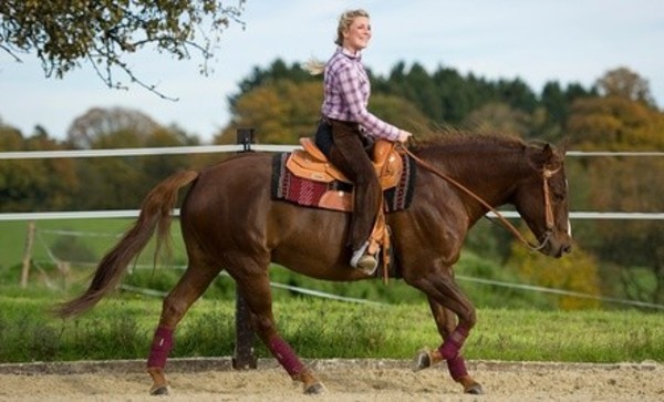 Two or Four 60-Minute Horseback-Riding Lessons at Amethyst Performance Horses (Up to 57% Off)
