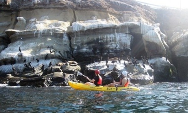 90-Minute Single Sea Life Kayak Tour for One or Two at La Jolla Sea Cave Kayaks (Up to 46% Off)