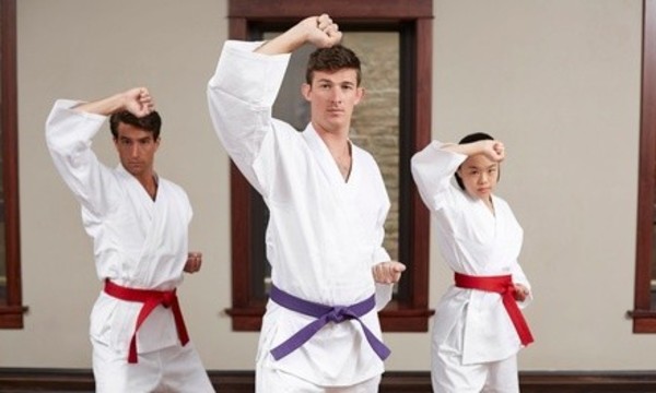 $20 Off $200 Worth of Martial Arts / Karate / MMA