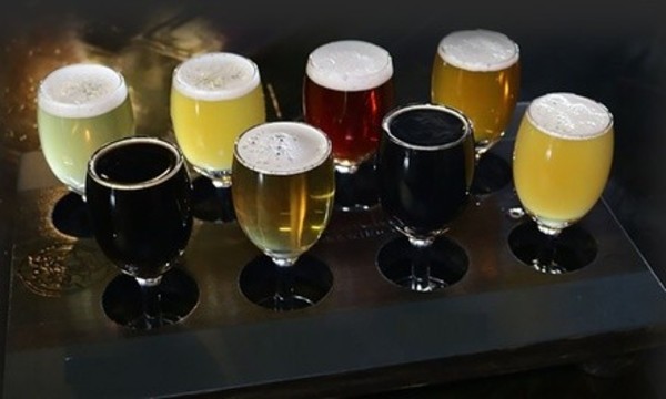 Beer Tasting for Two or Four at Metal Monkey Brewing (Up to 44% Off)