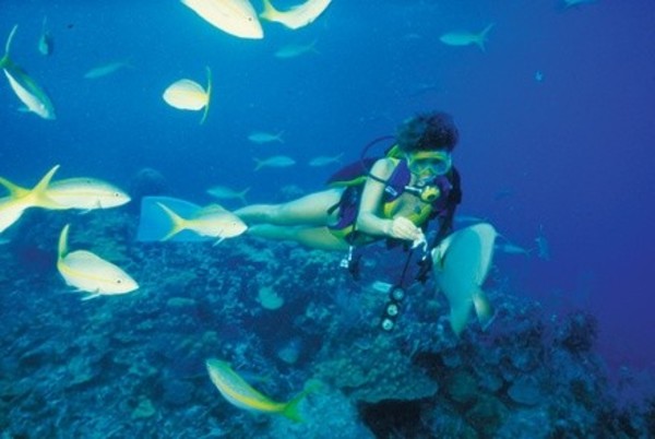 $167.50 For A 5-Week Knowledge Development & Confined Water Class (Reg. $335)