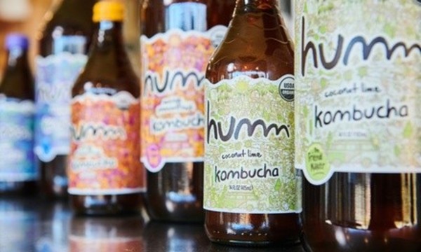 Flights, Pints, Logo Glasses and Growlettes for One, Two, or Four at Humm Kombucha (Up to 50% Off)