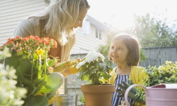 One, Two, or Four Single-Day Tickets to The Green Event on April 27-28 at Charmingfare Farm (Up to 32% Off)