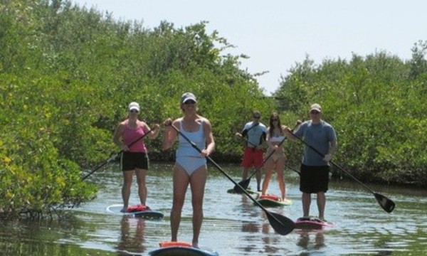Paddleboard Lesson and Tour for Two or Four at Paddleboard Connection (Up to 60% Off)