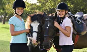 TF Publishing 2019 Large Desk Pad Calendar