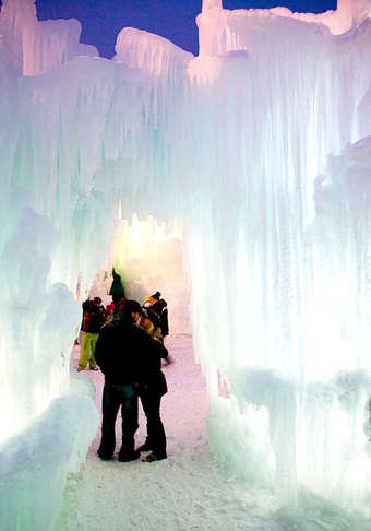 Adjustable Pet Car Seat Belt - 2pk