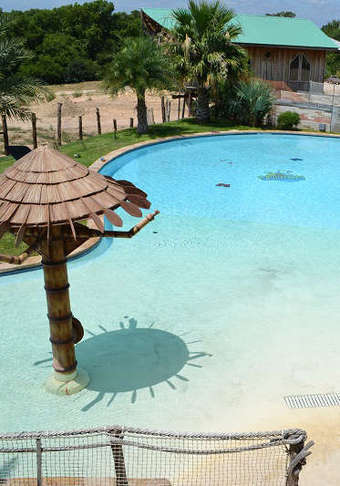 Online Leadership & Management Course with Optional Stress-Management Course from SMART Majority (99% Off)