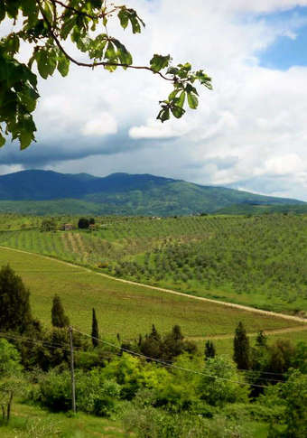 Murder-Mystery Dinner for One or Two at The Murder Mystery Co. (Up to 43% Off)