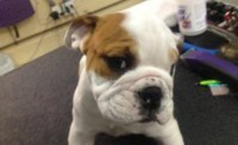 Up to 50% Off at Ace Sports, LLC