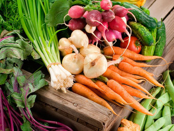 Up to 30% Off on Eyelash Tinting at Beauty Xpress Aesthetic Spa