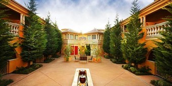 One or Two Cryolipolysis Fat-Freezing Single-Applicator Treatments at at Purity Med Spa (Up to 74% Off)