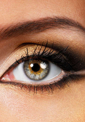 Standard or Synthetic Oil Change, Brake Service, or Transmission Fluid Replacement at Midas (Up to 75% Off)