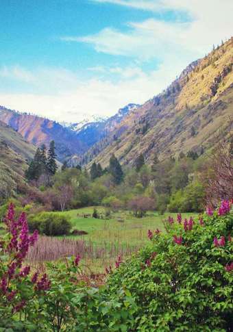 Strawberry Lipo, Laser Lipo, or Fascia Blasting at 5280 Laser Aesthetics (Up to 68% Off). 30 Options Available.