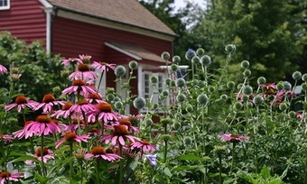 One or Three Two-Hour Painting Lessons or Workshops at Art School # 99 (Up to 48% Off)