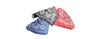 Dental Services at Hamilton Smiles (Up to 98% Off). Three Options Available