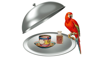 1, 2, or 4 Porcelain Veneers with X-Ray and Exam from Dr. Mark Hagopian at Somerset Dental Group (Up to 40% Off)