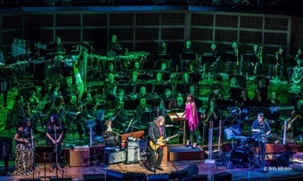 20 Units of Botox at Mountain View Aesthetics (Up to 29% Off)