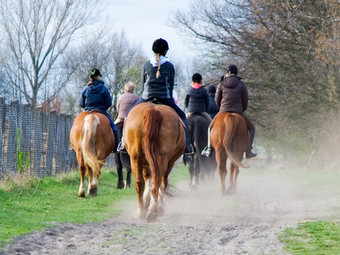 One Endermologie, Lipolysis, and Skin Tightening Combo for One or Two Areas at Wake Up Beautiful (Up to 70% Off)