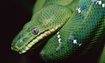 One or Two HydraFacials at Safe Lipo & BBL (Up to 62% Off)