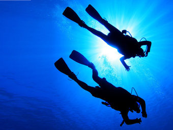 Up to 60% Off on Tour - Guided at SKYEWALKER show