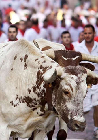 60- or 70-Minute Full Body and Foot Massage with Hot Stones at JX Massage (Up to 42% Off)