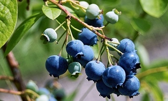 Hairstyling Services at Style By Mary (Up to 49% Off). Three Options Available.