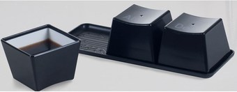 $12 for 10-Minute Online Meet and Greet with Lil Queens EP and Holiday Mash Up from TL Girlz ($24 Value)