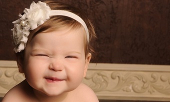 Eight Days of Dog Daycare, Three Days of Boarding at Norma's Corner (Up to 52% Off)