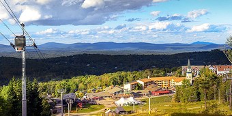 Up to 35% Off on Brunch Place at Honeybear Cafe