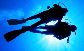 Deal for Gigglin' Marlin Divers