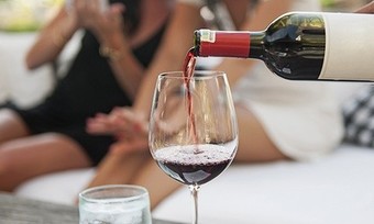 Wine Tasting Packages at Green Bird Organic Cellars (Up to 46%  Off). Four Options Available. 