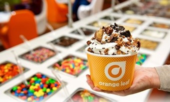 Frozen Yogurt at Orange Leaf - Saugus (Up to 40% Off). Three Options Available.  